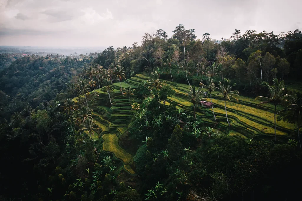 De hoogste kwaliteit teakhout uit Indonesië - ecologisch, exclusief én toch betaalbaar. Ontdek het grote assortiment in de webshop.