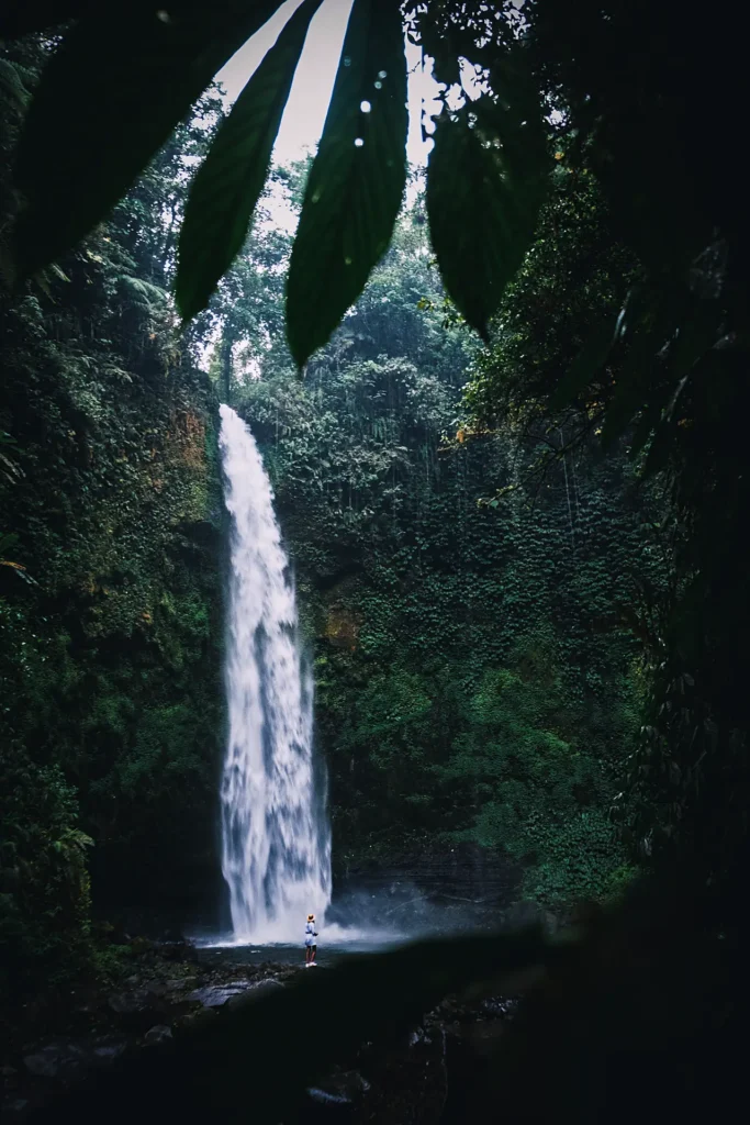 De hoogste kwaliteit teakhout uit Indonesië - ecologisch, exclusief én toch betaalbaar. Ontdek het grote assortiment in de webshop.
